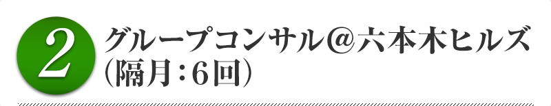 ２．グループコンサル＠六本木ヒルズ （隔月：６回）