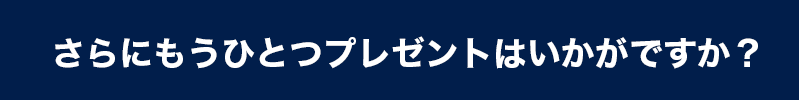 ちょっとまってください、もうひとつプレゼントは欲しくないですか？